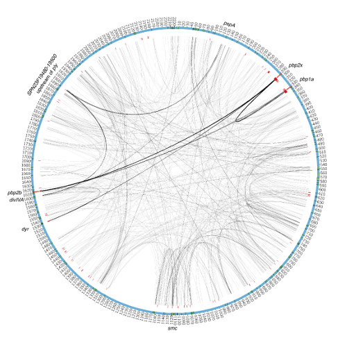 Genome-wide epistasis analysis